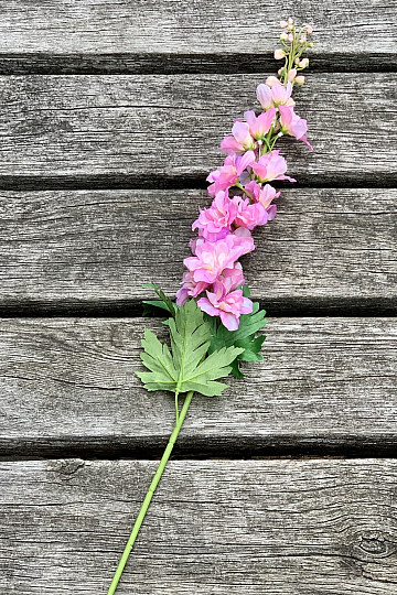 Delphinium ružové 79 cm