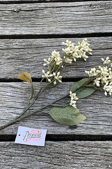 DRY VIBURNUM TINUS 58 cm biela