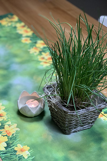 obrusy a šály NARCISY
