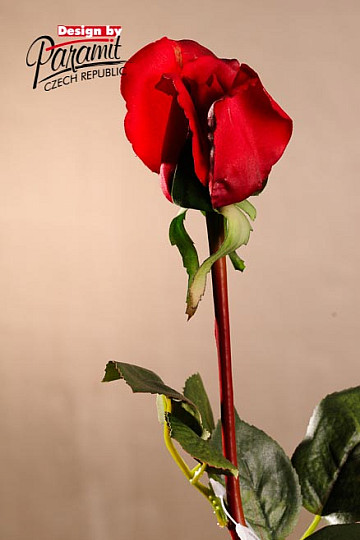 Ruže púčik červené 70 cm