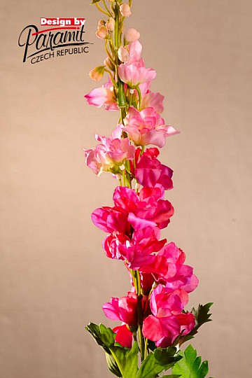 Delphinium vínovej 79 cm