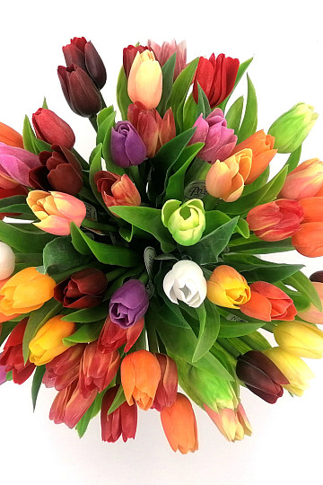 Tulipány mix farieb