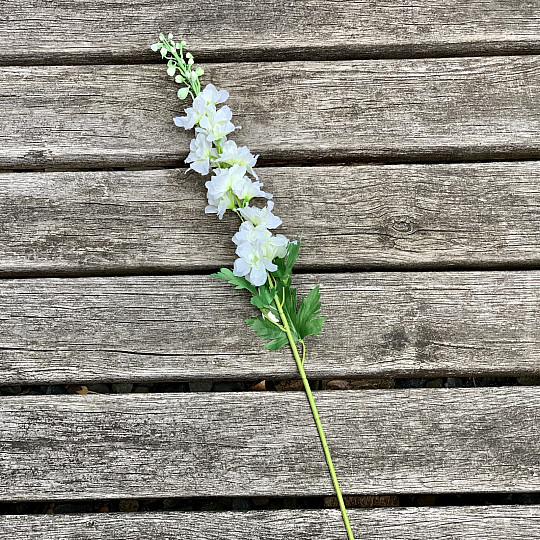 Delphinium biele 79 cm