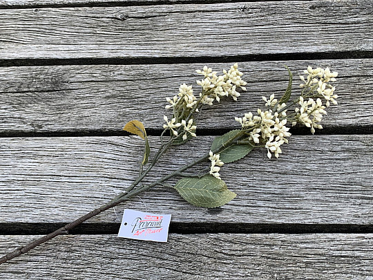 DRY VIBURNUM TINUS 58 cm biela