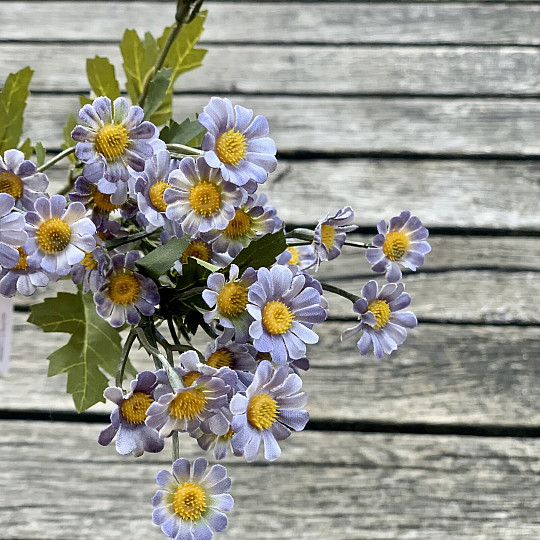 MINI DAISY MODRÁ