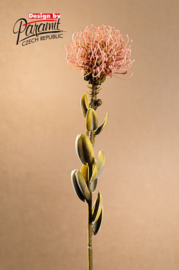 DRY SMALL PROTEA RUŽOVÁ