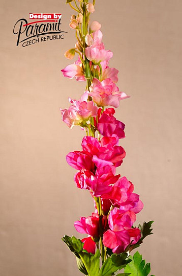 Delphinium vínovej 79 cm