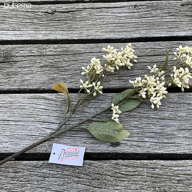 DRY VIBURNUM TINUS 58 cm biela