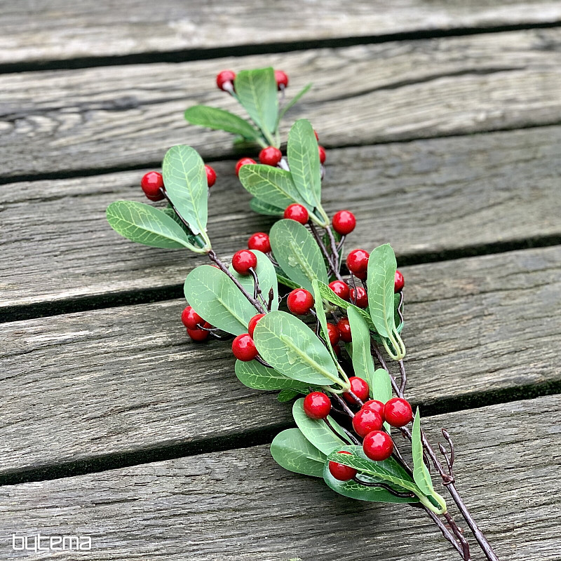 BARRY STEM ČERVENÁ
