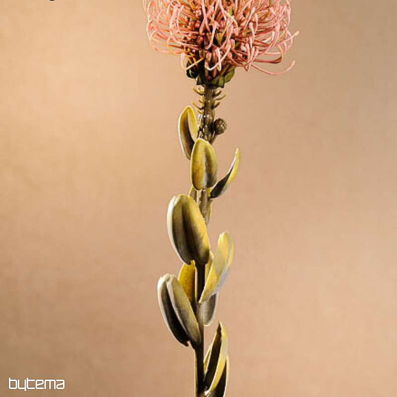 DRY SMALL PROTEA RUŽOVÁ
