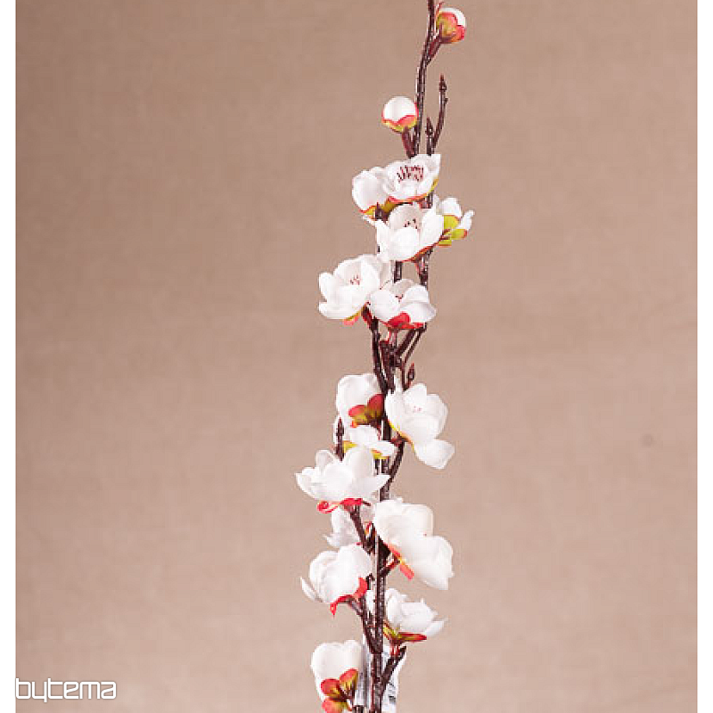 Třešňová vetvička biela