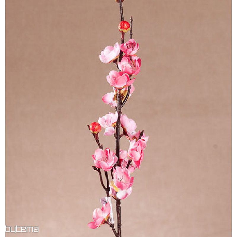 TREŠŇOVÁ VETVIČKA RUŽOVÁ