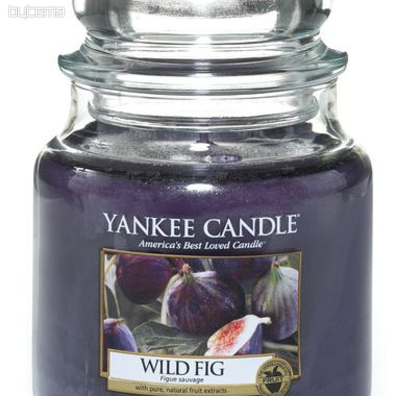 sviečka YANKEE CANDLE vôňa WILD FIG - divoký figa