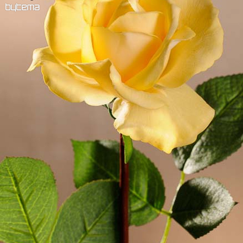 Ruže žltá 67 cm