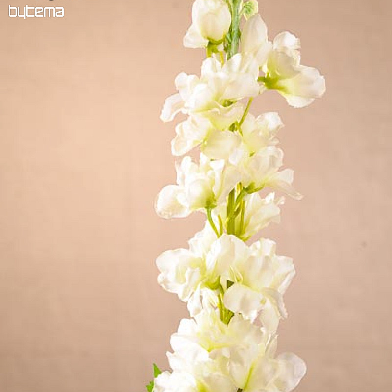 Delphinium biele 79 cm