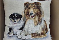 Pre milovníkov zvierat - hebkosť, ktorá si vás ochočí