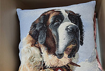 Pre milovníkov zvierat - hebkosť, ktorá si vás ochočí