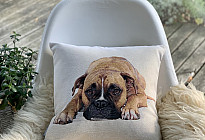 Pre milovníkov zvierat - hebkosť, ktorá si vás ochočí