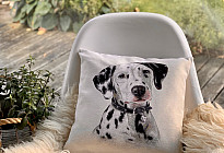 Pre milovníkov zvierat - hebkosť, ktorá si vás ochočí