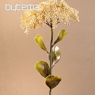 DRY FULL BLOOM SEDUM 46 cm bílá