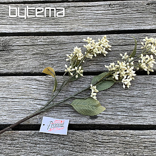 DRY VIBURNUM TINUS 58 cm biela