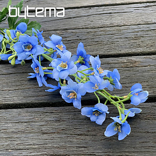 DELPHINIUM MODRÁ