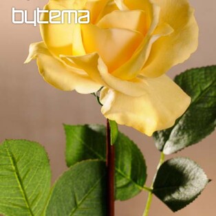 Ruže žltá 67 cm
