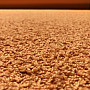 Strihaný koberec SPHINX oranžový