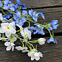 DELPHINIUM MODRÁ