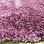 Kusový koberec SHAGGY OVO fialový