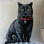 Gobelínový obliečka na vankúš BLACK CAT