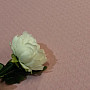 Bavlnený úplet MATLOSANGE ružový