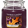 sviečka YANKEE CANDLE vôňa AUTUMN GLOW