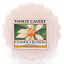 sviečka YANKEE CANDLE vôňa champaca BLOSSOM - champaca kvet