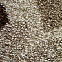Kusový koberec SHAGGY EXTRA listy béžovej