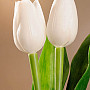 Tulipány mix farieb