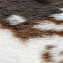Moderný koberec RODEO 201 COW