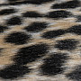 Moderný koberec RODEO 204 GEPARD