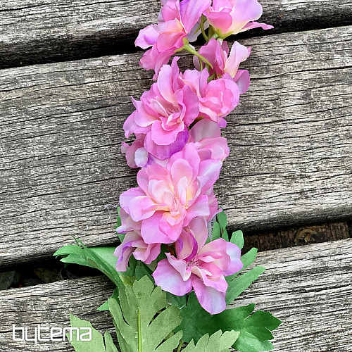 Delphinium ružové 79 cm