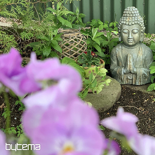 Socha BUDDHA 28x20x50cm