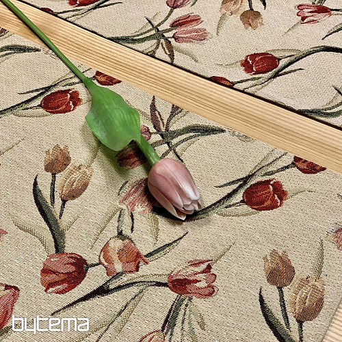 Prestieranie TULIPÁN