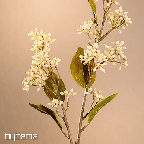 DRY VIBURNUM TINUS 58 cm biela