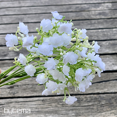 GYPSO SPRAY BIELA