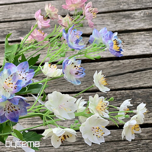 DIVOKÁ KVEŤ RUŽOVÁ