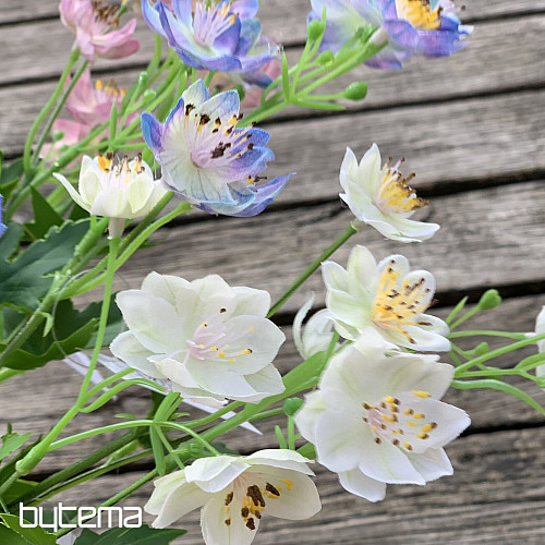 DIVOKÁ KVEŤ RUŽOVÁ