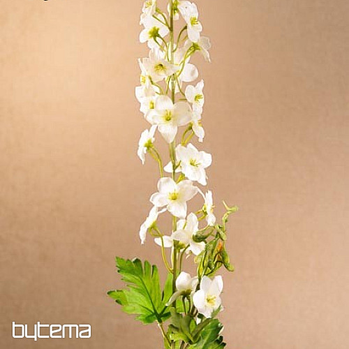 DELPHINIUM BIELA