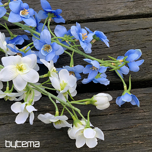 DELPHINIUM BIELA