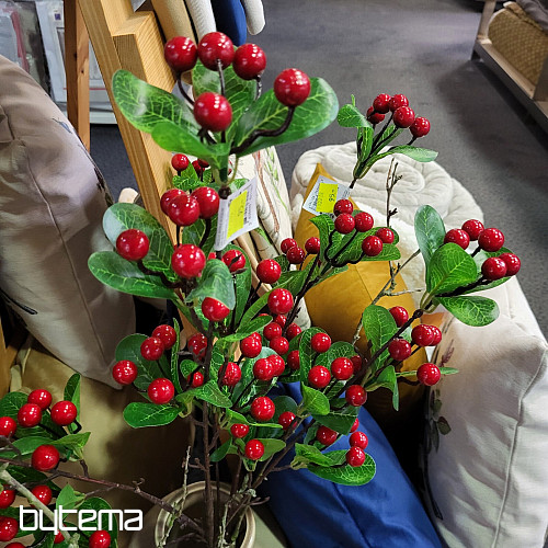 BARRY STEM ČERVENÁ