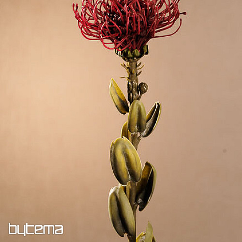 DRY SMALL PROTEA ČERVENÁ