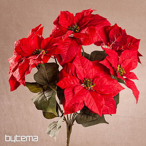 Vianočné ruže TRS ČERVENÁ